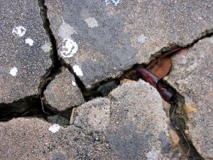 cracked-concrete-1496622-300x225